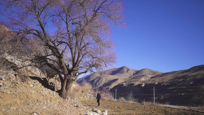 西藏高原 黄土高坡 农作物低产地区