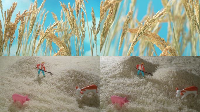 米 稻谷 稻谷丰收 水稻 微距 小人