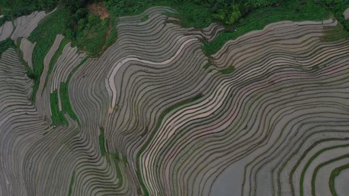 航拍上帝视角俯瞰桂林龙脊梯田