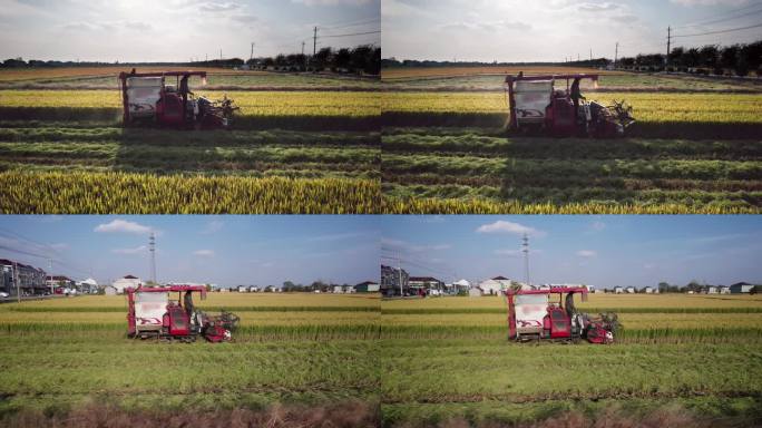 无人机低空侧拍收割水稻的机械