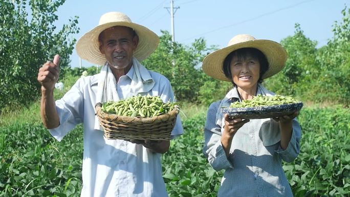 乡村振兴电商助农