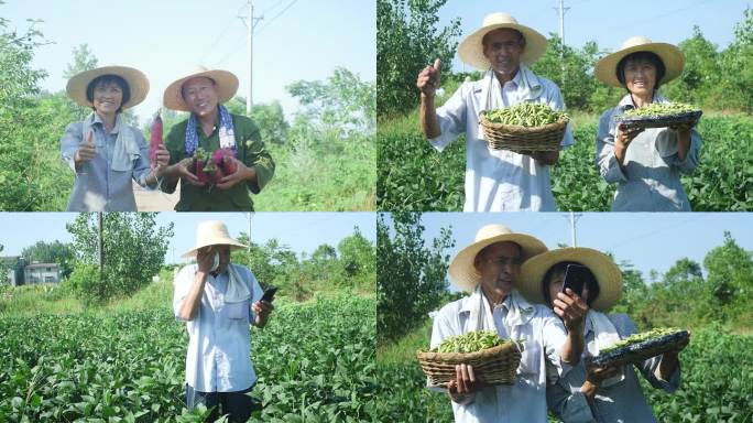 乡村振兴电商助农