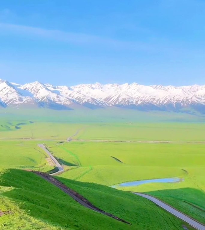 新疆天山草原美景竖屏视频素材