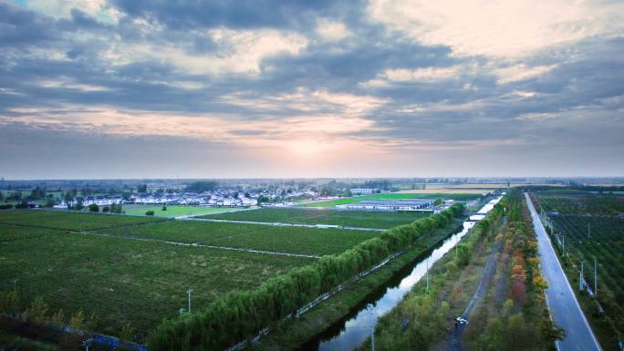 落日 农村 旷野平原 田地