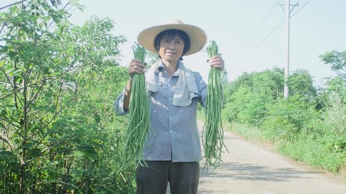 乡村振兴电商助农