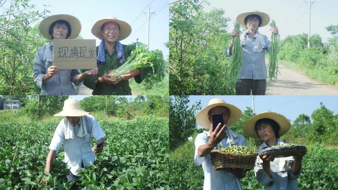 乡村振兴电商助农