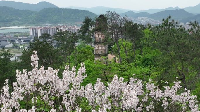 航拍浙江绍兴诸暨枫桥经验古塔东化城寺塔