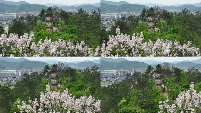 航拍浙江绍兴诸暨枫桥经验古塔东化城寺塔