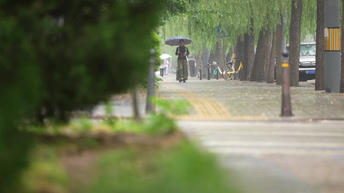 雨中 行人 车流 车行 红绿灯