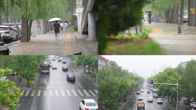 雨中 行人 车流 车行 红绿灯