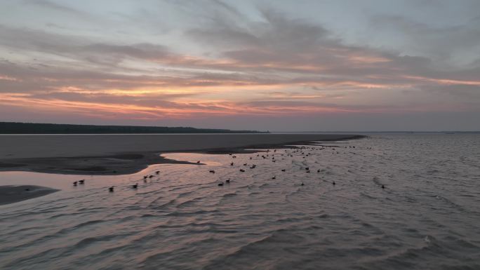 晚霞下长江上沙滩边的野鸭子航拍治愈系风景