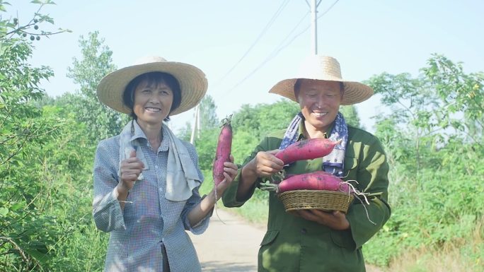 乡村振兴电商助农