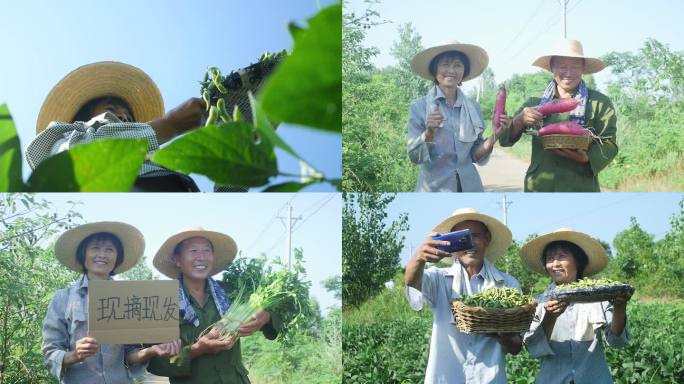 乡村振兴电商助农