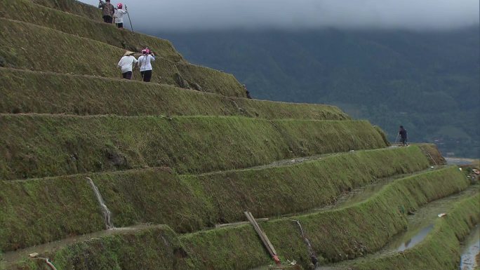 M1 梳秧节 人们在梯田上参加梳秧比赛