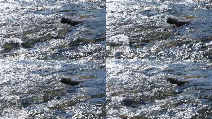 阳光下清澈的水流溪流河流慢镜头