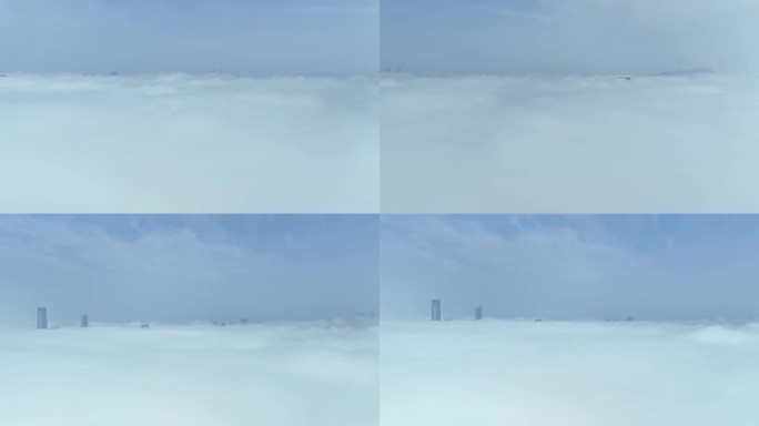 青岛平流雾