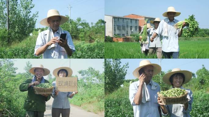 乡村振兴电商助农