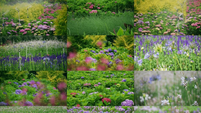 清新花海梦幻园林唯美绿植百花齐放春天意境