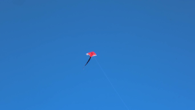 蓝天下的风筝
