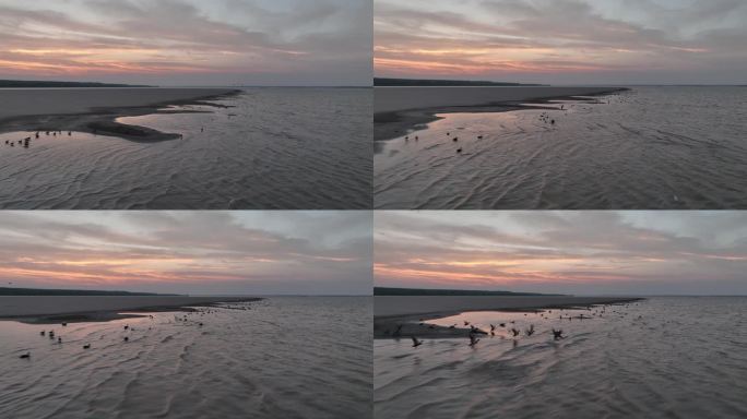 晚霞下长江上沙滩边的野鸭子航拍治愈系风景