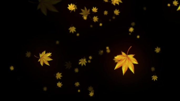 落叶 飘落 树叶 花瓣 透明