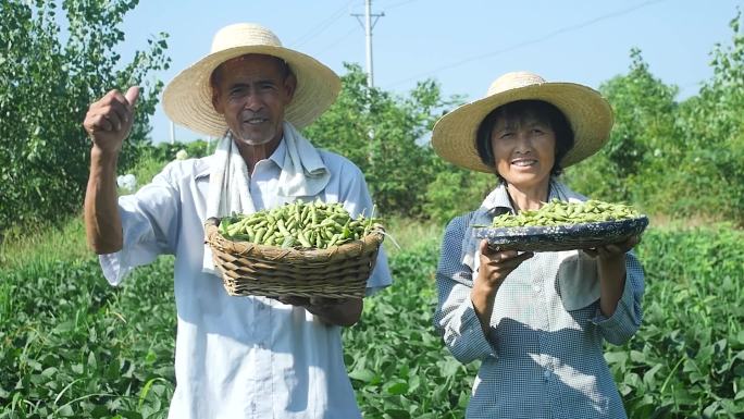 乡村振兴电商助农