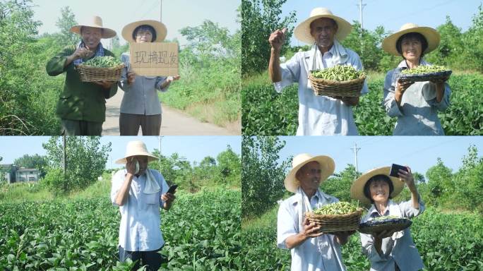 乡村振兴电商助农