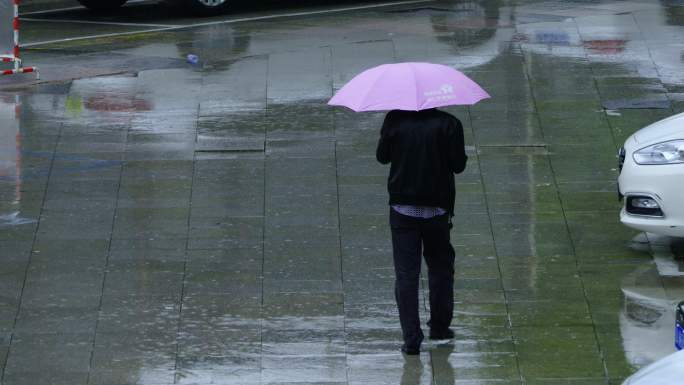 雨中城市行人汽车