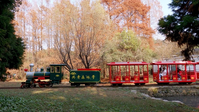 秋天公园里的观光小火车