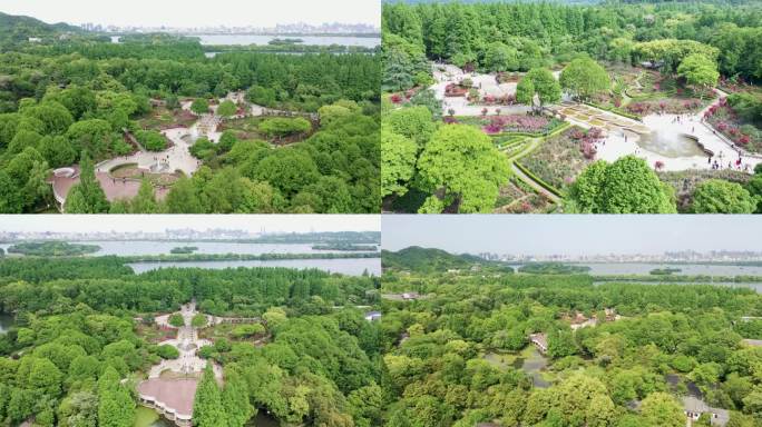 4k5月初西湖杭州花圃莳花广场绿意盎然