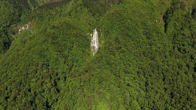 森林瀑布