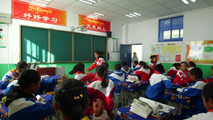 藏族小学上课 听讲听老师上课