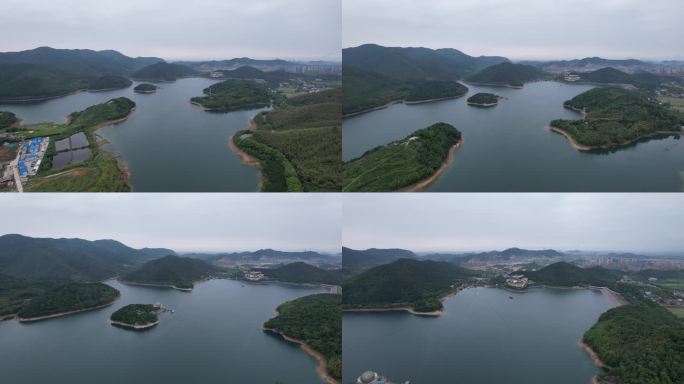浙江宁波九龙湖猴岛山水风景