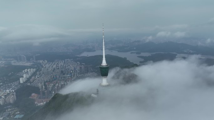 【正版原创】环绕梧桐山电视塔云海