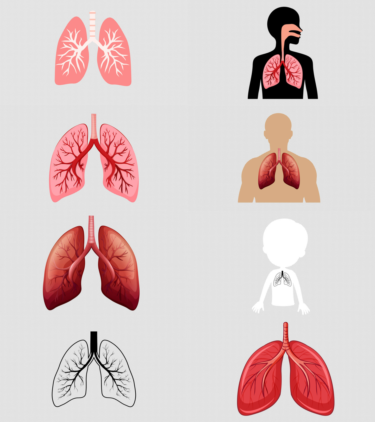肺呼吸动画透明通道（10款）
