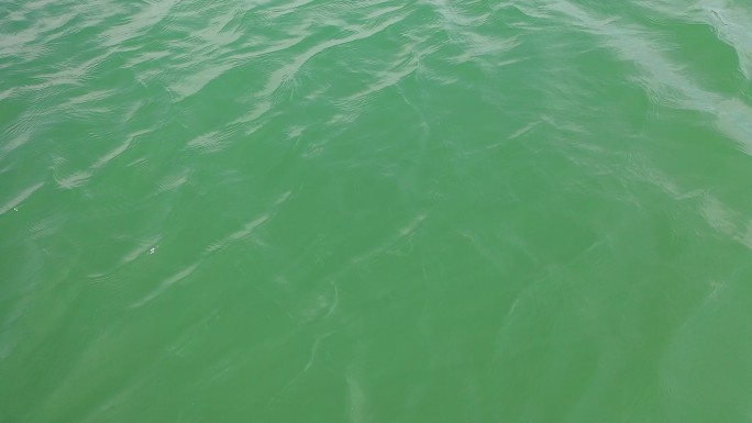 绿水 水面 湖水