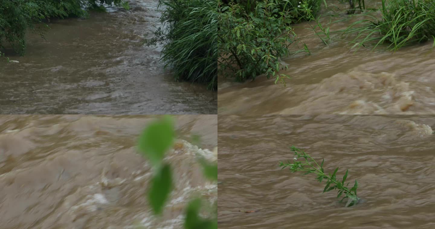 台风暴雨洪水