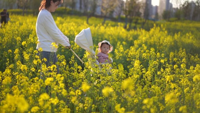 亲子时光 油菜花 油菜花地 儿童 带孩子