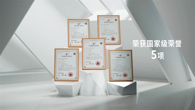 高端大气简洁荣誉证书资质红头文件相框