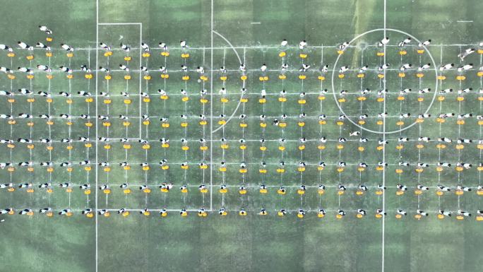 河南许昌长葛双语实验学校大课间运动航拍