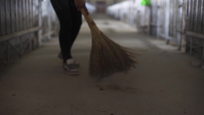 草丛垃圾 倒垃圾 扫地 大扫除