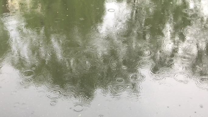 池塘 雨滴