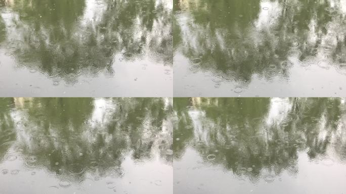 池塘 雨滴