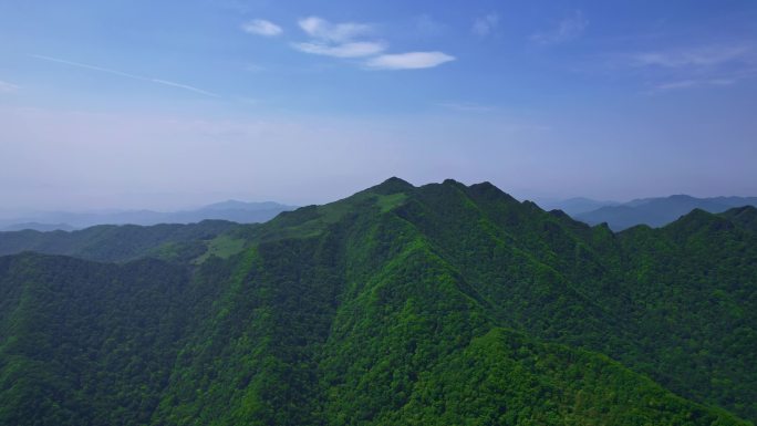 青山苍翠 森林城市