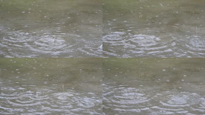 雨滴打在地面的积水里