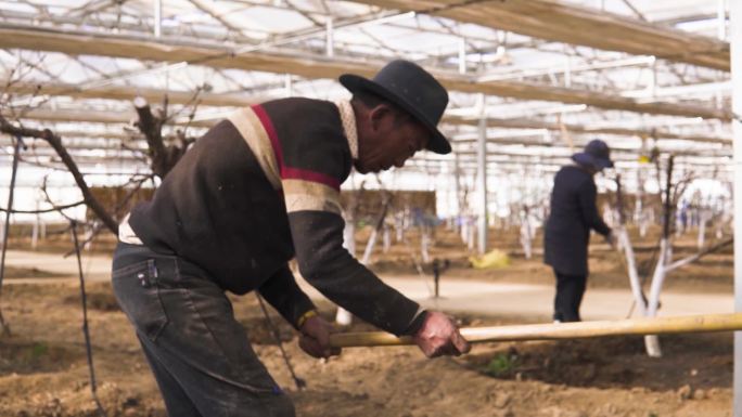 温室大棚干活 温棚 大棚温棚种植大棚种植