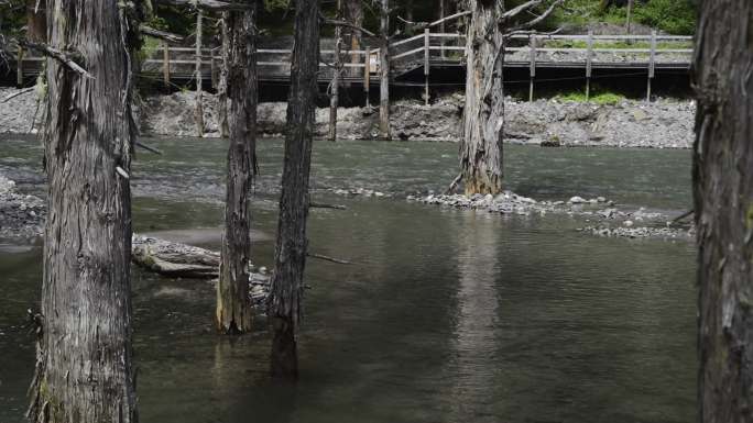 水流 溪流 河流 自然 清凉一夏
