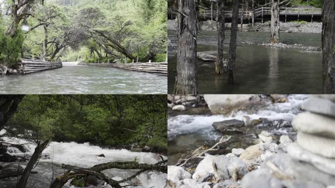 水流 溪流 河流 自然 清凉一夏