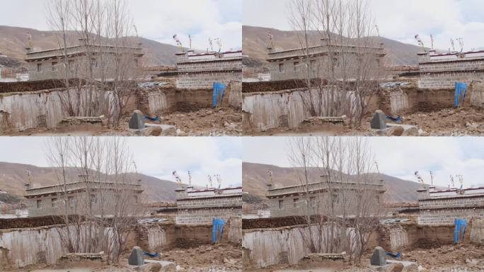 新型正式建筑 西藏农村挨家挨户