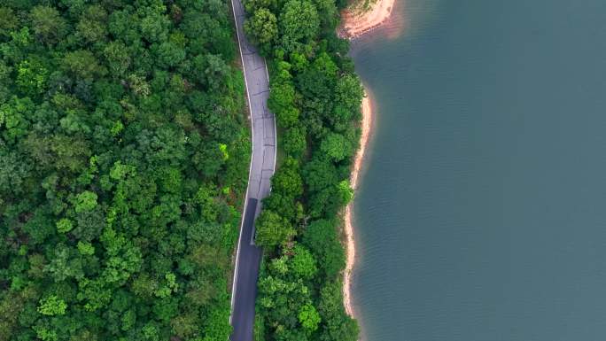 环湖公路汽车行驶